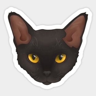 Devon Rex Black Sticker